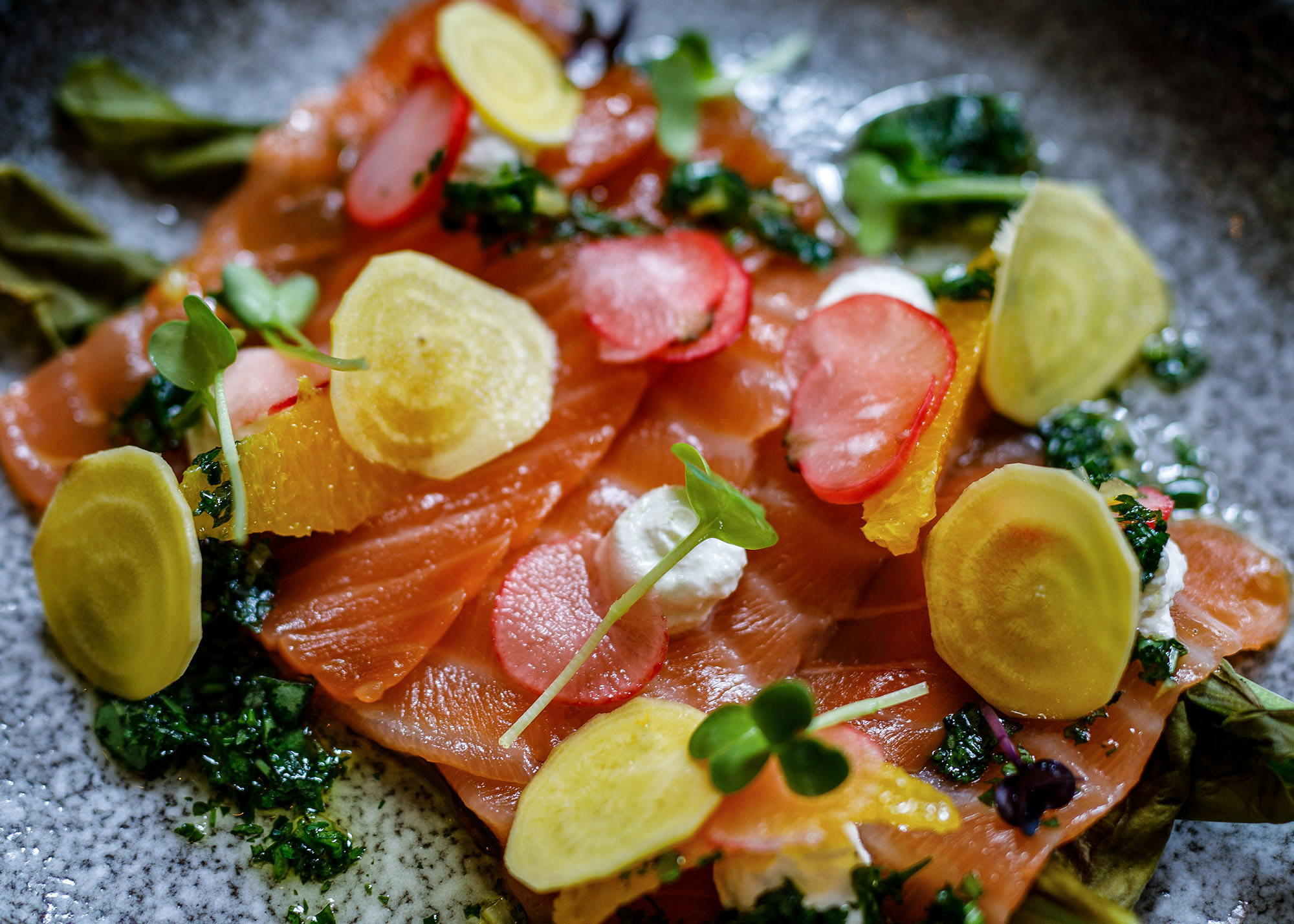 Ginger and Gin Cured Salmon
